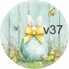 v37