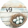 v9