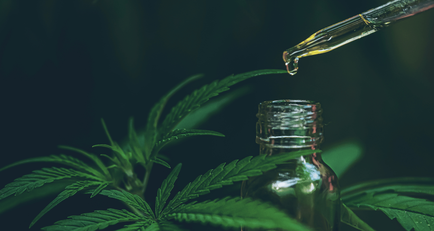 Jak CBD funguje v těle