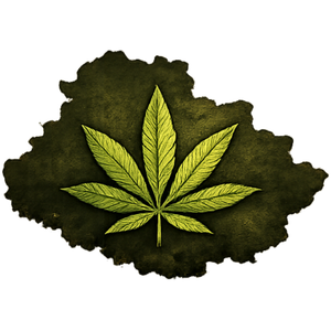 Konopí ze srdce Vysočiny