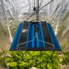 azuregrow480w v growboxu zaveseni