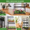 microgrow regal na domaci pestovani