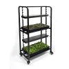 microgrow regal pro microgreens