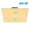 imgi 12 SF4000 EVO 1200x1200