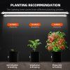 imgi 25 Glow80planting recommendation 1200x1