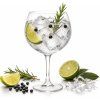 Gin Tonic
