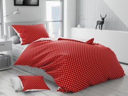 render v2022 02 07 NORMAL cervene A 1024x768