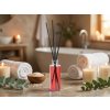 ZEN RED – elegantní vonný difuzér pro útulný interiér, 50 ml