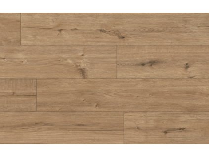 55085_Arteo_Classen_Dub_Adler_WR