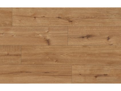 55086_Arteo_Classen_Dub_Elbrus_WR