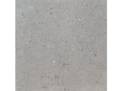 Pastorelli Biophilic BI Grey 80x80 Rett. (tl.2cm)