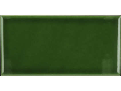 Equipe Evolution Victorian Green 7,5x15