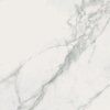 Sichenia Marmo Calacatta 15x15