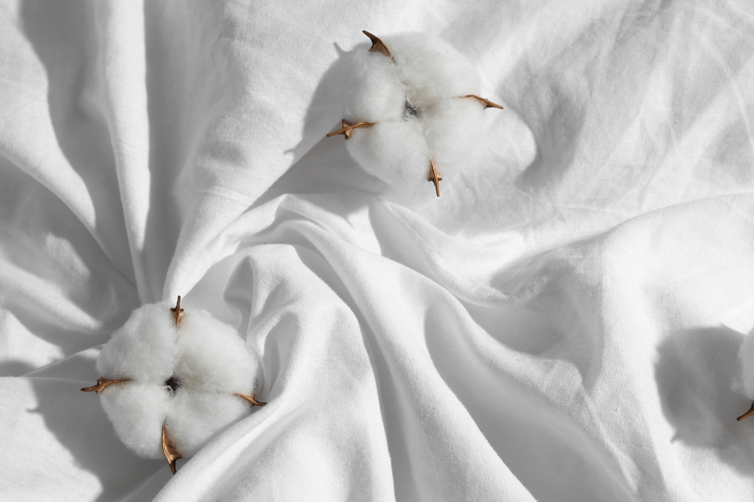 Jak se starat o renforcé povlečení?