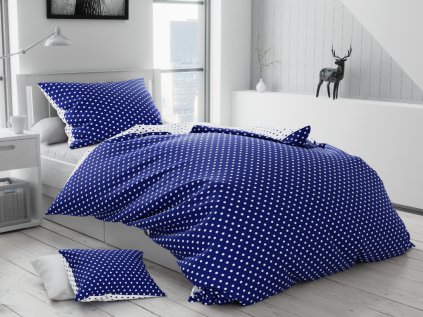 render v2022 02 07 NORMAL modre A 1024x768