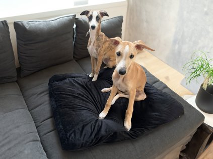 Polštář pro psa/kočku ROYAL PET 75x60 cm, černý s měkkou výplní