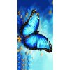 Plážová osuška DREAMING modrá 100x180 cm s motivem modrého motýla