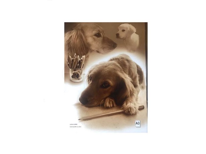 skicák A3 10 listů