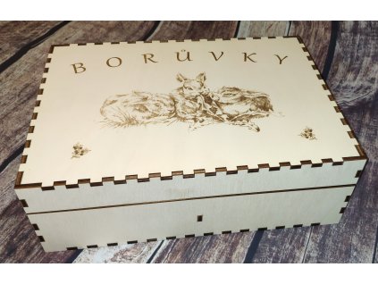 Box na dokumenty s vlastním obrázkem