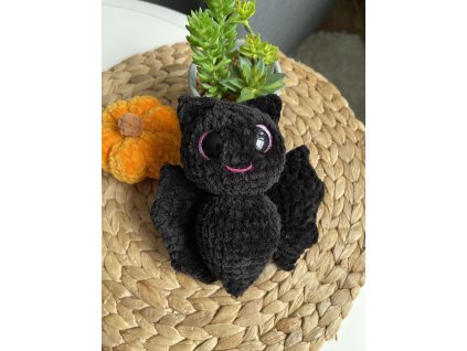 Návod na netopýra [Psaný+videonávod]