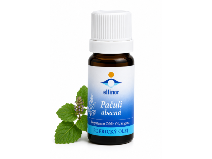 ChatGPT Image 20. 6. 2026 13 13 04