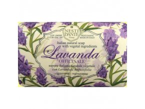 lavanda nestidante 3