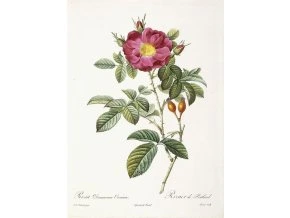 4a23da5380570b211e8fdfa0f555c261