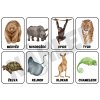 Komunikační kartičky - ZVÍŘÁTKA V ZOO (32ks)
