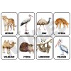 Komunikační kartičky - ZVÍŘÁTKA V ZOO (32ks)