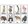 Komunikační kartičky - ZVÍŘÁTKA V ZOO (32ks)
