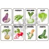 Komunikační kartičky - ZELENINA (24ks)