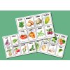 Komunikační kartičky - ZELENINA (24ks)