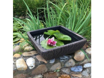 ballet 490 3 600x600