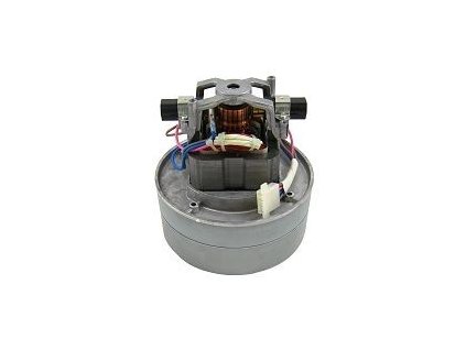motor tiger 250 2