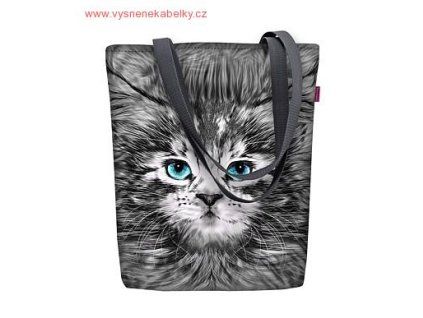 vyr 1604sunny Bazylisek