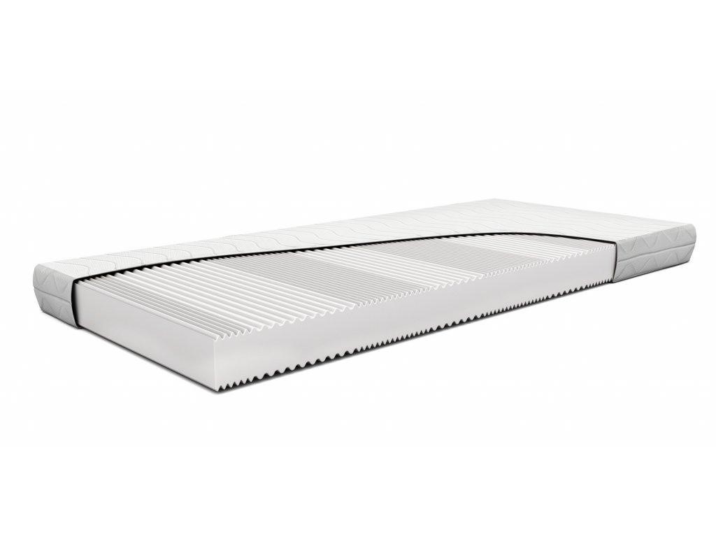 1-clanek