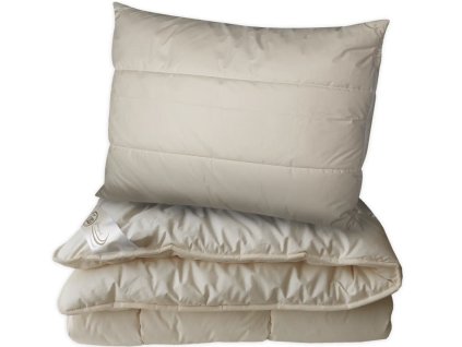 Snímek obrazovky 2025 10 16 135215