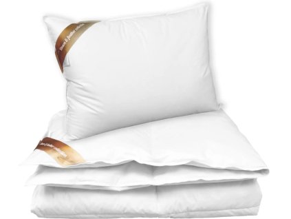 Snímek obrazovky 2025 10 16 163921