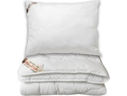 Snímek obrazovky 2025 10 16 165934