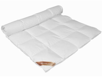 Snímek obrazovky 2025 10 17 115337