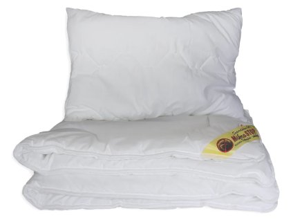 Snímek obrazovky 2025 10 17 112442