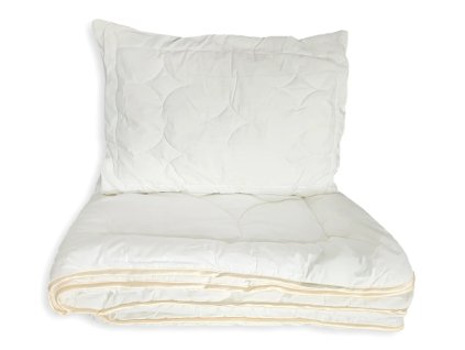 Snímek obrazovky 2025 10 17 112727