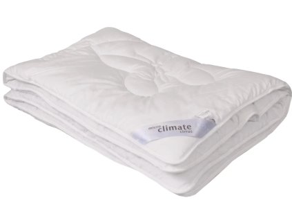 Snímek obrazovky 2025 10 17 131559