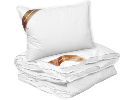 Snímek obrazovky 2025 10 17 122508