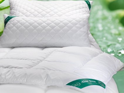 Snímek obrazovky 2025 10 17 123318