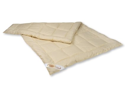 Snímek obrazovky 2025 10 17 130438