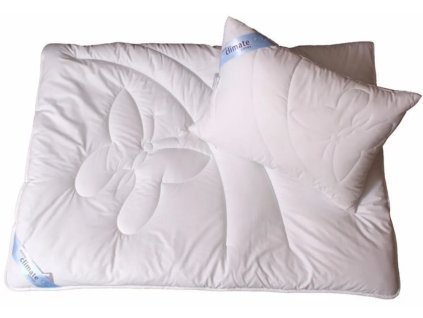 Snímek obrazovky 2025 10 17 132257