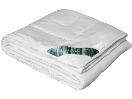 Snímek obrazovky 2025 10 17 145024