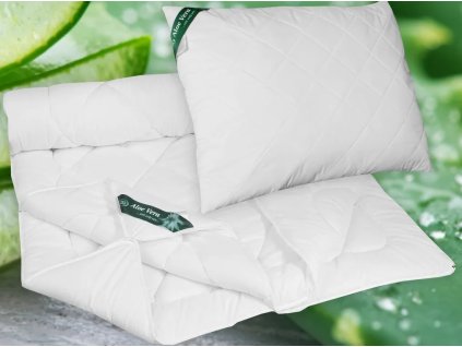 Snímek obrazovky 2025 10 18 114610