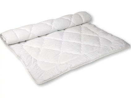 Snímek obrazovky 2025 10 20 103110